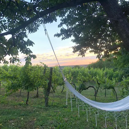 Balatoni Présházikó