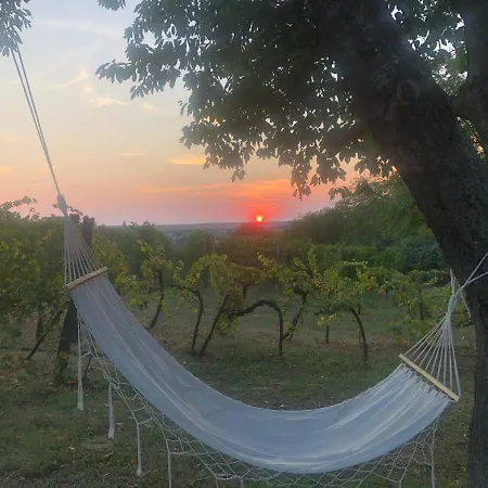 Balatoni Preshaziko Szolosgyorok