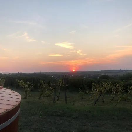 Hébergement de vacances Balatoni Présházikó Szolosgyorok