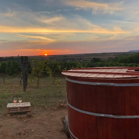 Balatoni Preshaziko Σπίτι διακοπών