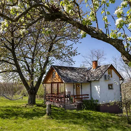 펜션 Balatoni Preshaziko *