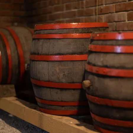 Balatoni Preshaziko 펜션 Szolosgyorok