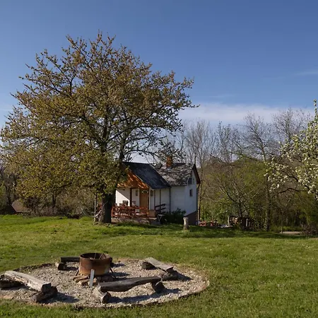 Balatoni Preshaziko 펜션