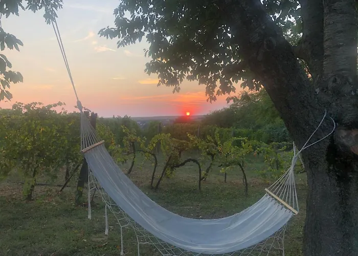 Balatoni Présházikó Szolosgyorok