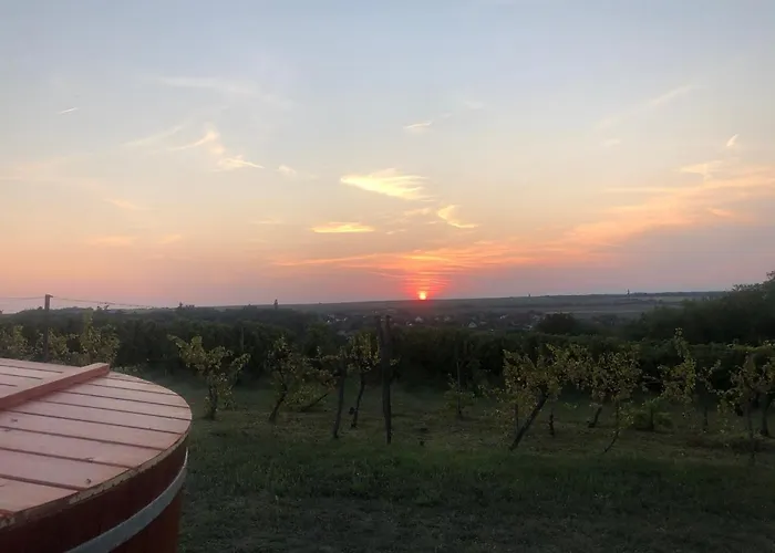 Casa vacanze Balatoni Présházikó Szolosgyorok