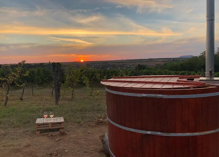 Balatoni Preshaziko Prázdninový dům