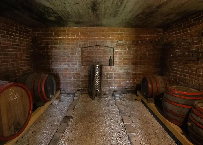 Balatoni Preshaziko Szolosgyorok