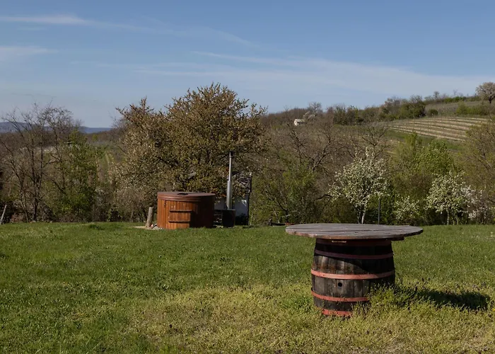 Balatoni Preshaziko Szolosgyorok